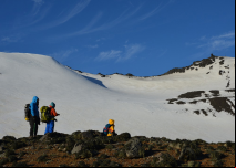 Fungo da Antártica pode levar a novo biopesticida natural