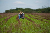 Estudante de Engenharia de Brasília cria sistema de monitoramento climático para setor agrícola