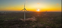 Neoenergia é reconhecida entre as empresas mais exemplares do mundo em sustentabilidade