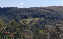 Ferramenta identifica áreas ecologicamente equivalentes para orientar projetos de restauração